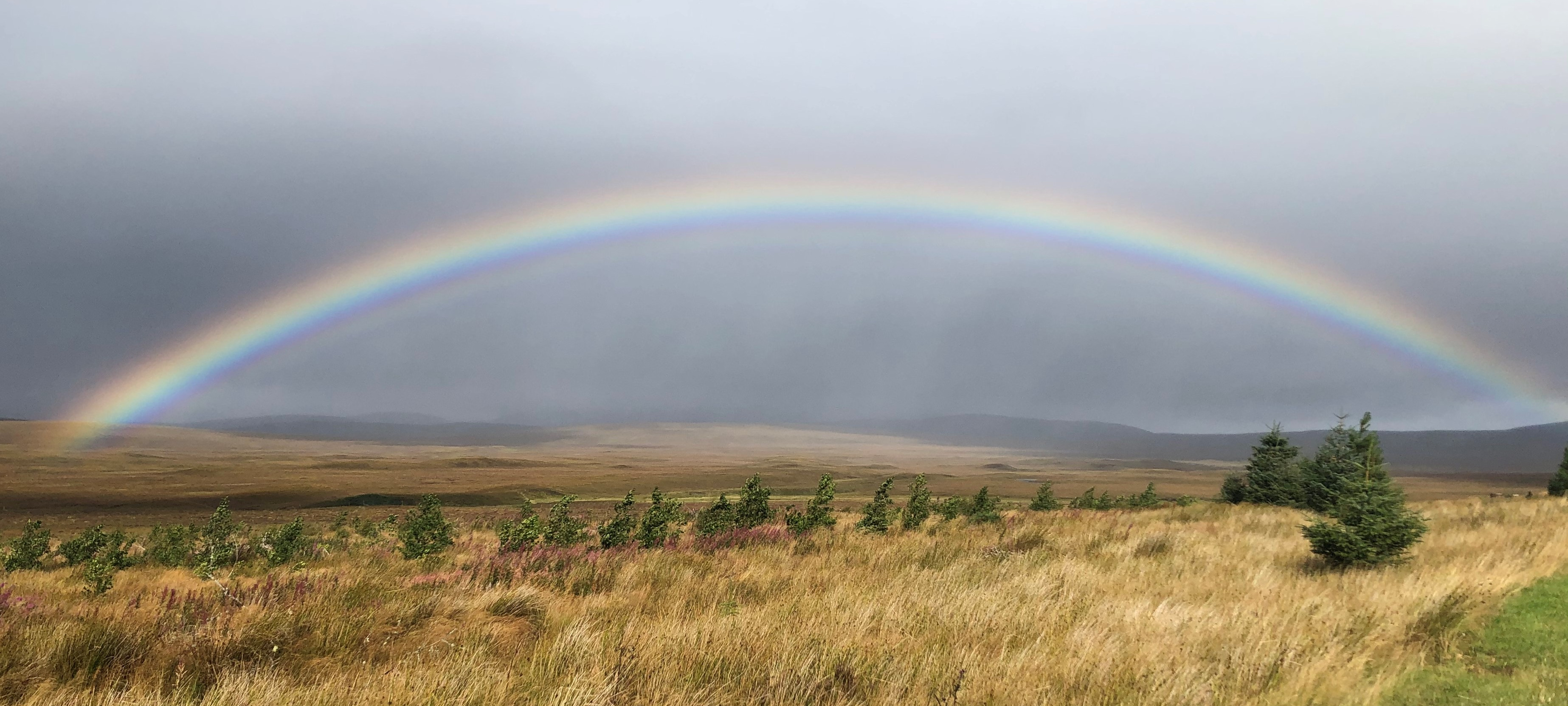 Photos from our Cairngorms & Speyside - Self-Guided Cycling Holiday